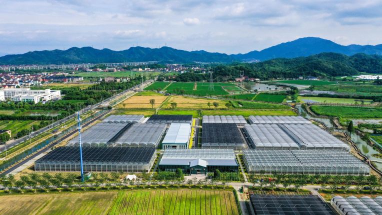 探索鄉村振興與農業產業轉型,推動一二三產融合發展