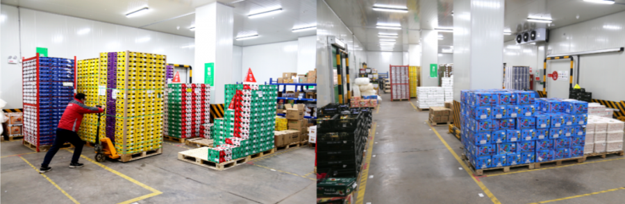 16124037474666536Zd3.png 圖片8.png