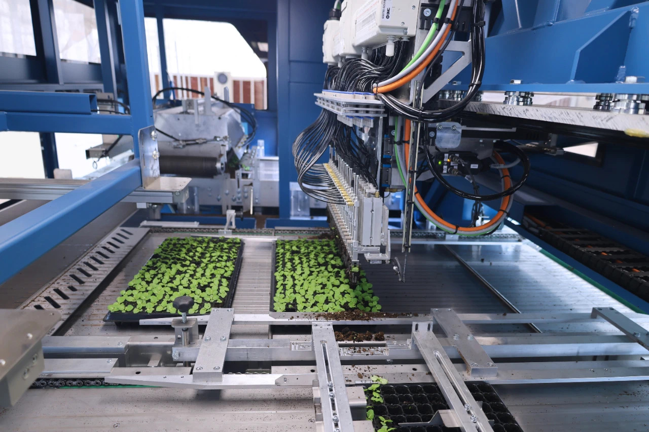 1720139964658998CECx.jpg 2.jpg