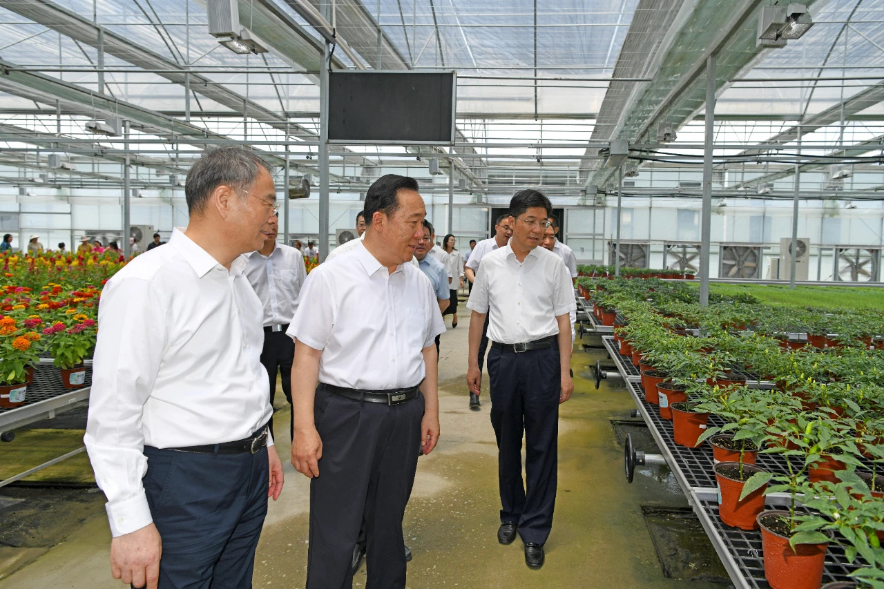 1720139976637678dmyD.jpg 3.jpg