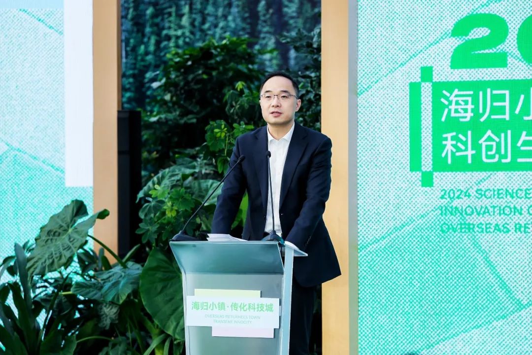 1732522040962823Vcuv.jpeg 6.jpeg