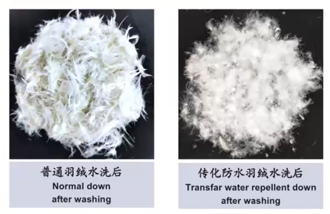 1739756050401202izLl.png 640 (1).png