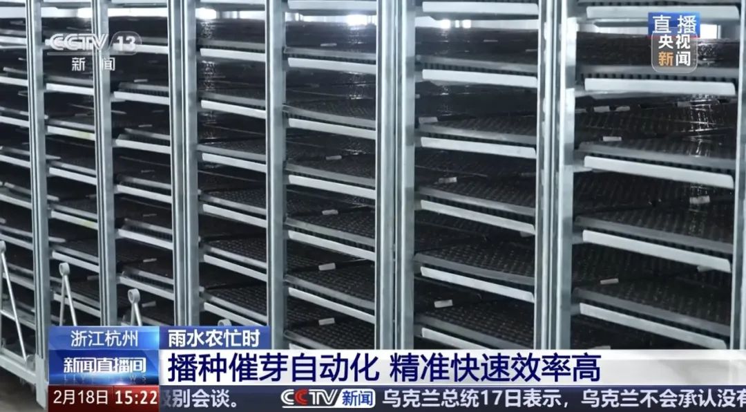 1739945225792281m12A.jpeg 640 (3).jpeg